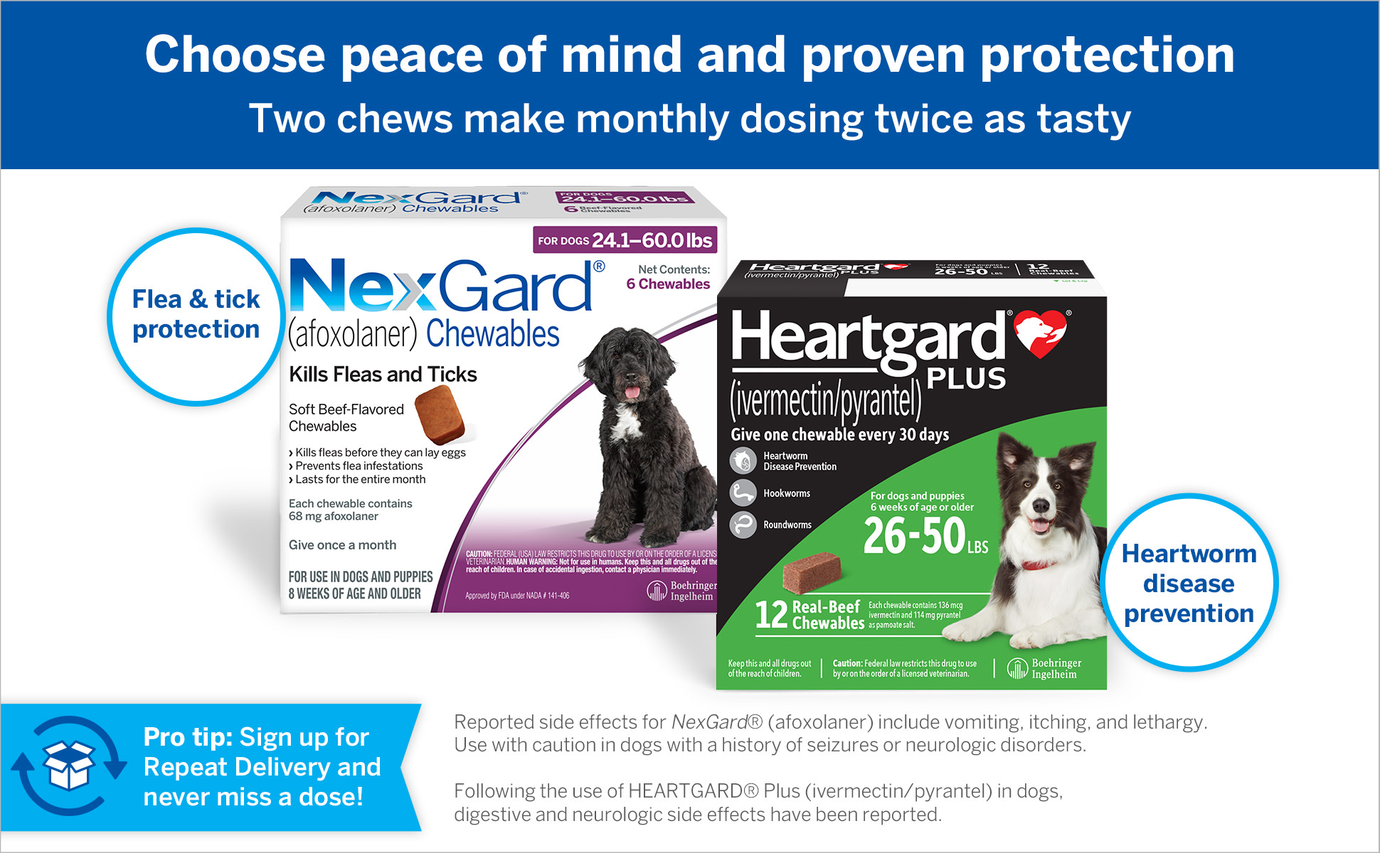 nexgard chewables costco