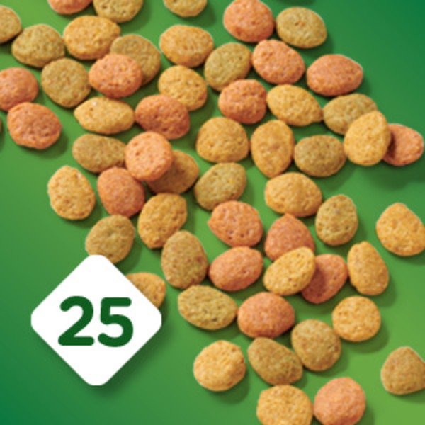 A close-up of multicolored kibble pieces and an icon highlighting balanced nutrition for indoor cats.