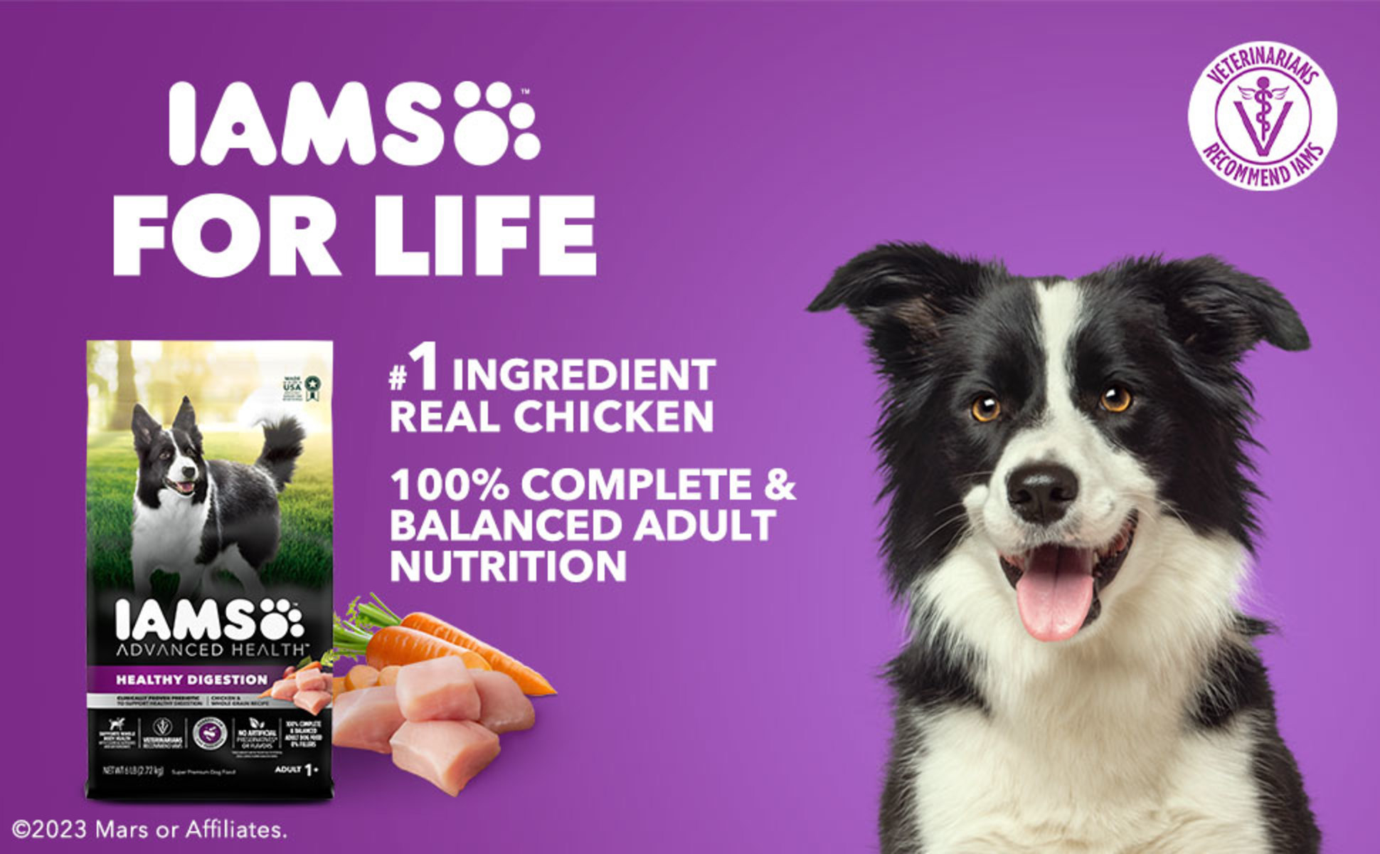 Iams Advanced Health Healthy Digestion with Real Chicken Dry Dog