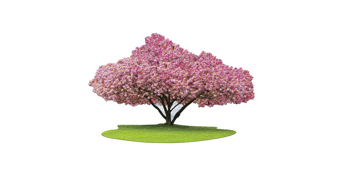 Madd Capp: I Am Cherry Blossom - 1000 Piece Tree Shaped