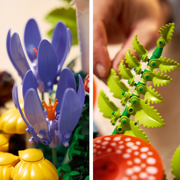Purple autumn crocuses and bracken fronds add extra vibrant colors.