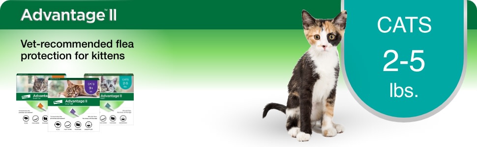 Advantage II Vet Recommended Flea Prevention for Kittens Cats 2