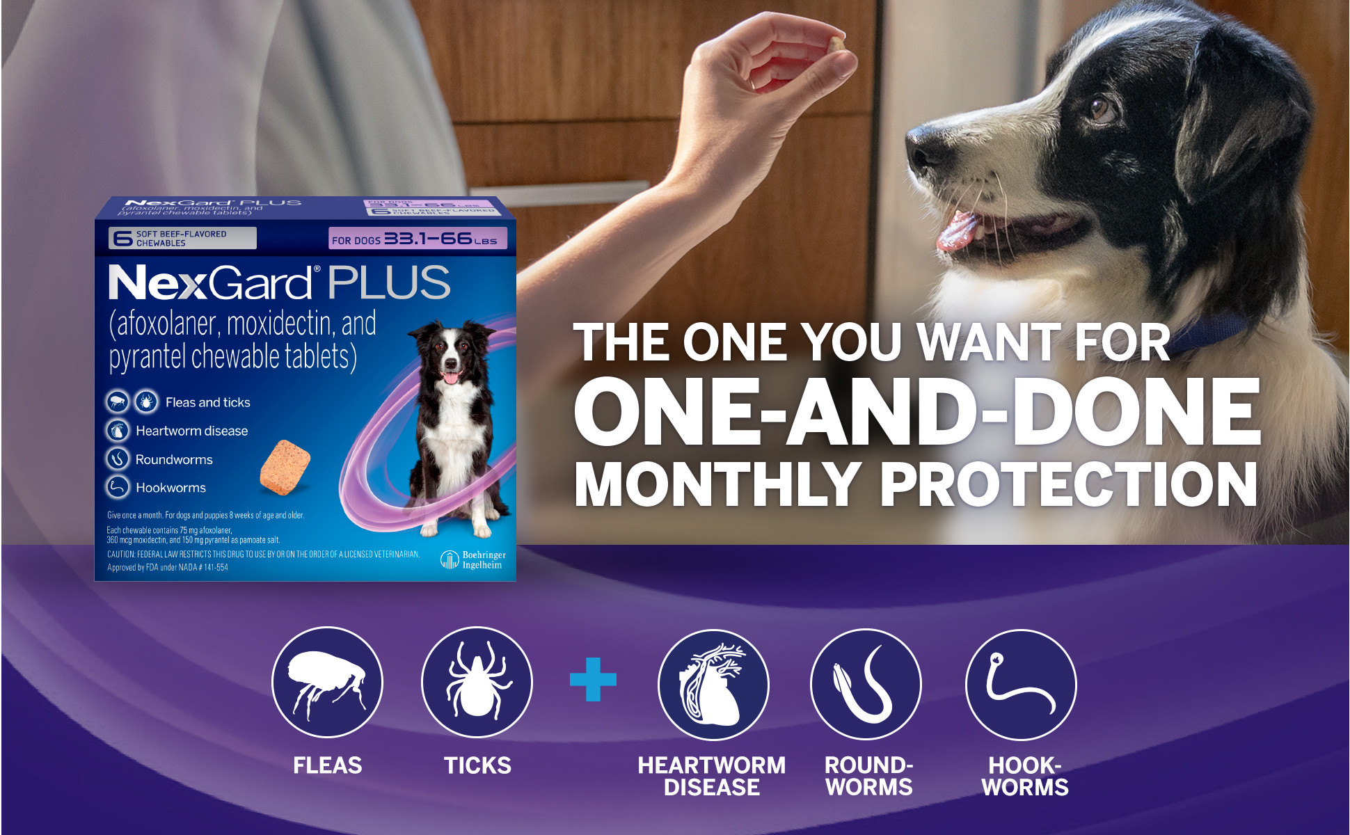 Nexgard for dogs petco hotsell