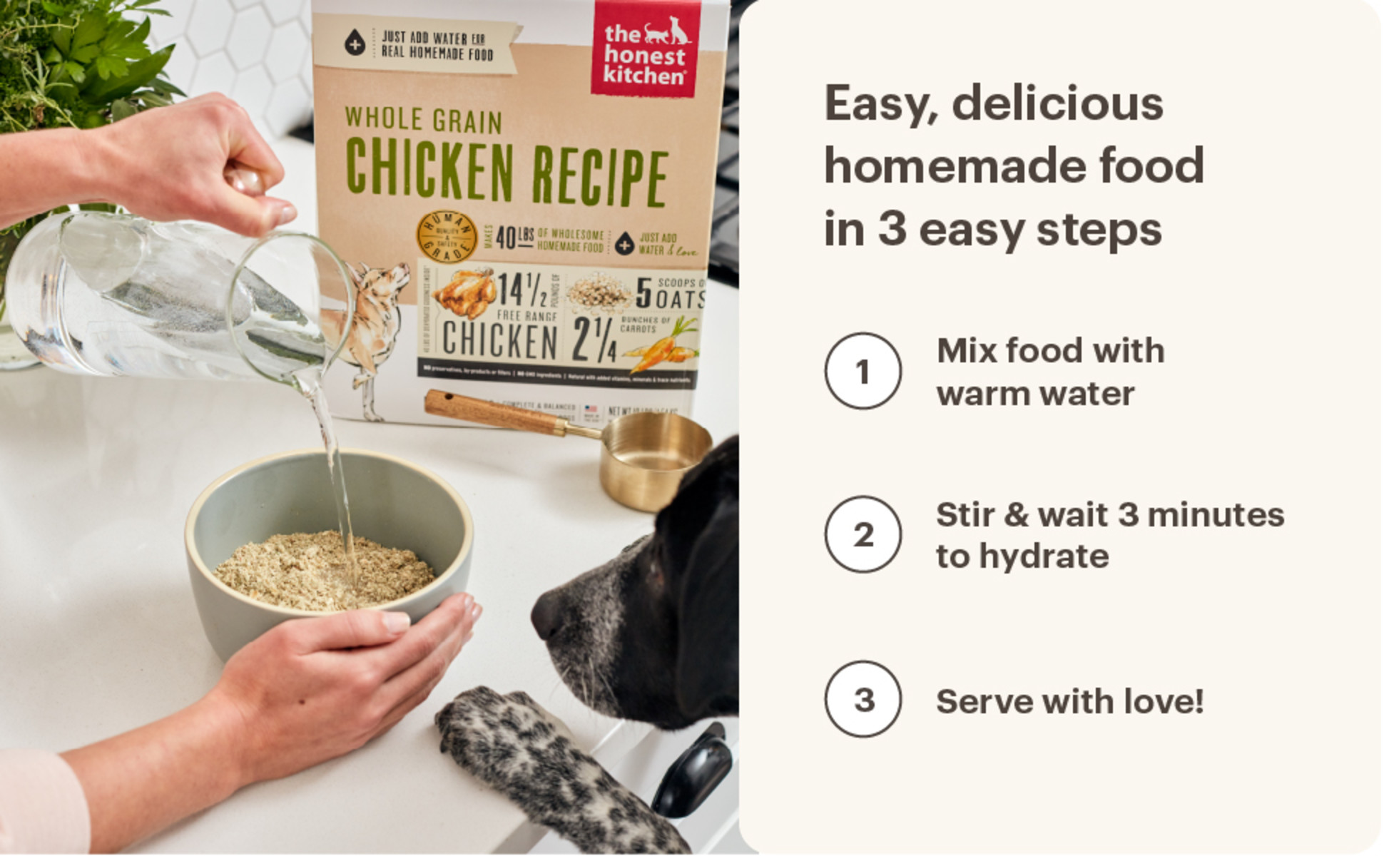 The Honest Kitchen Whole Grain Chicken Recipe Dehydrated Dog Food