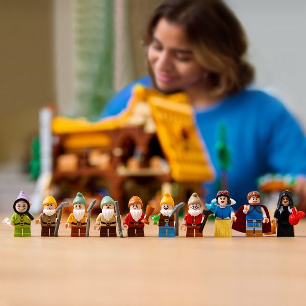 Snow White, the Seven Dwarfs, the Evil Queen and the Prince.