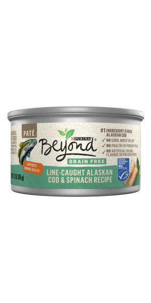 Purina beyond wet 2024 cat food walmart