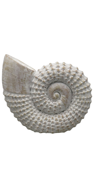 12x11" Woven Shell Decor, White