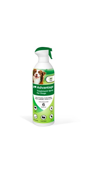 Flea spray for dogs hot sale walmart