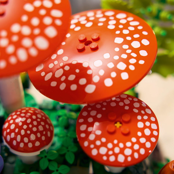 Build spotted red “toadstool” mushrooms at the center of the display.