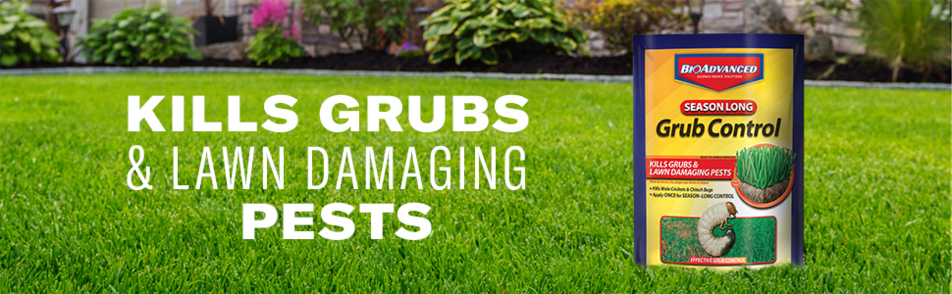 Grass Latest Magmatic Grub