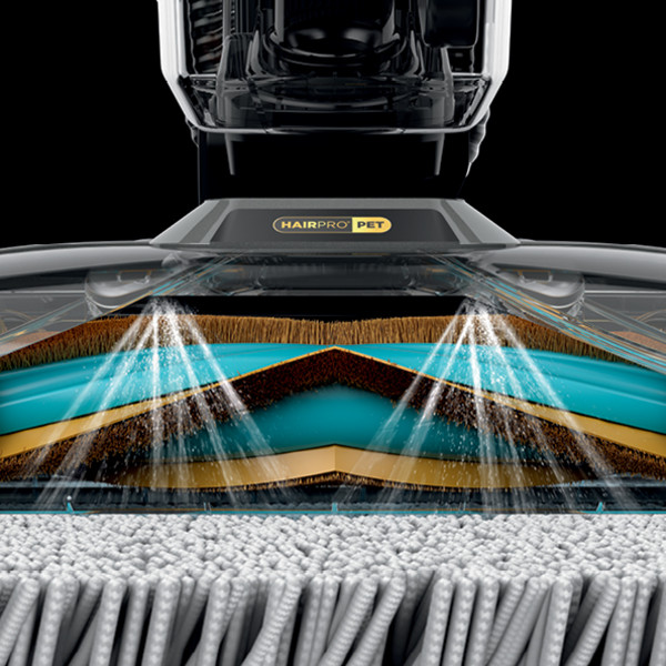 Shark Carpetxpert Hairpro Pet with StainStriker, Corded Deep Rug