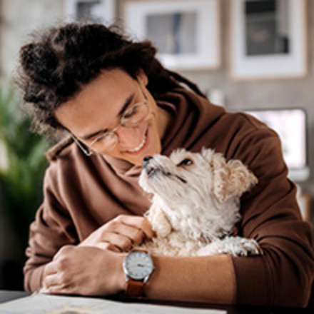 Small breed dog in the arms of a man