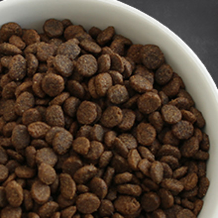 Up-close image of dry kibble