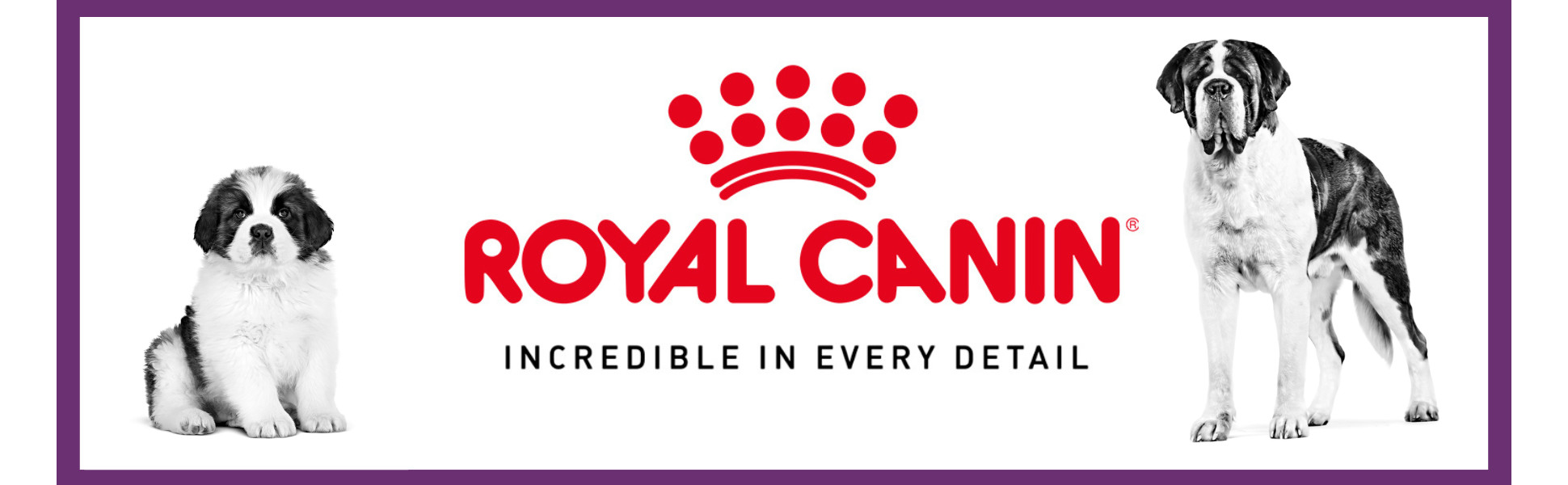 Royal Canin Giant Junior Dry Dog Food 30 lbs. Petco