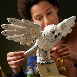 Harry Potter & Hedwig LEGO Toys