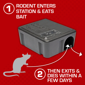 TOMCAT Kill & Contain Mouse Trap, Never See a Dead Rodent Again, 2 Traps  0360610PM - The Home Depot