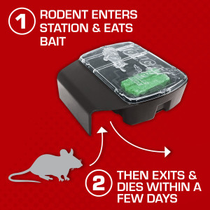  Exterminators Choice - Large Rat Bait Station Boxes with 1 Key  - Heavy Duty Mouse Trap Poison Holder - Great for Catching Rats and Mice -  Pest Control - Durable