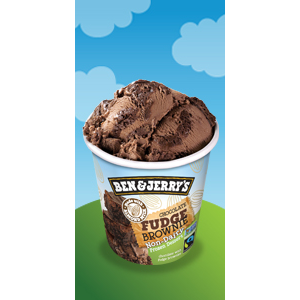 Ben & Jerry's Chocolate Fudge Brownie Frozen Dessert