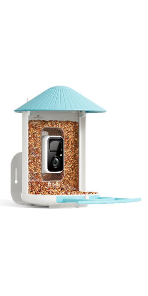 Birdfy Feeder 1