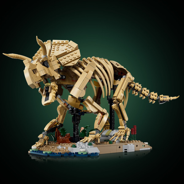 Set features a skeleton of Triceratops horridus from Jurassic Park.