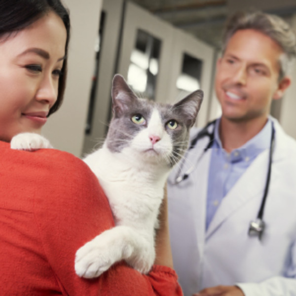 Pet owner holding cat at veterinarians office,