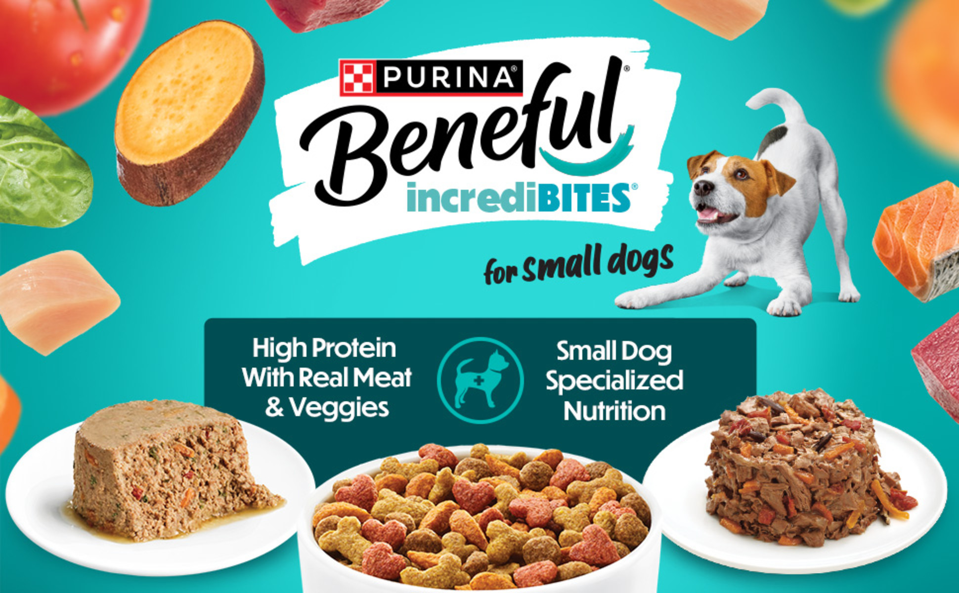 Beneful IncrediBITES wet food for dogs and dry food in bowls and plates in a variety of servings.