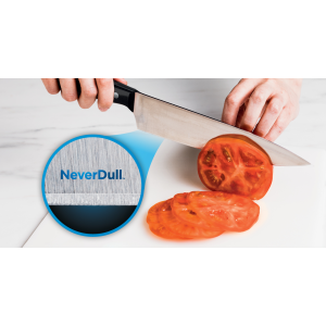 Ninja K12010 Foodi NeverDull 10-Piece Essential Knife System with Sharpener