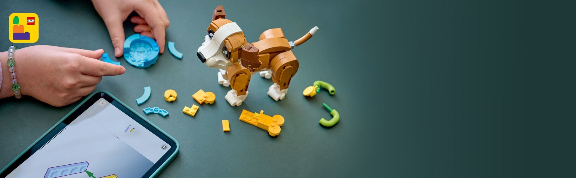 Includes interactive 3D building instructions