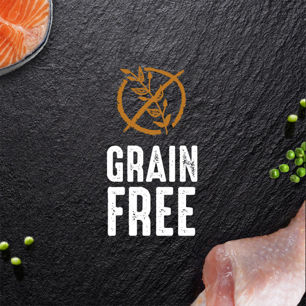 Crave grain free cat food best sale