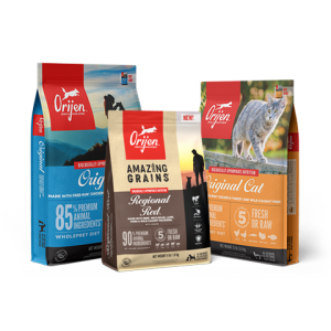 wellness cat food wet Wellness Complete Health Natural Grain Free Chicken Pate Wet Canned Cat Food main image 1