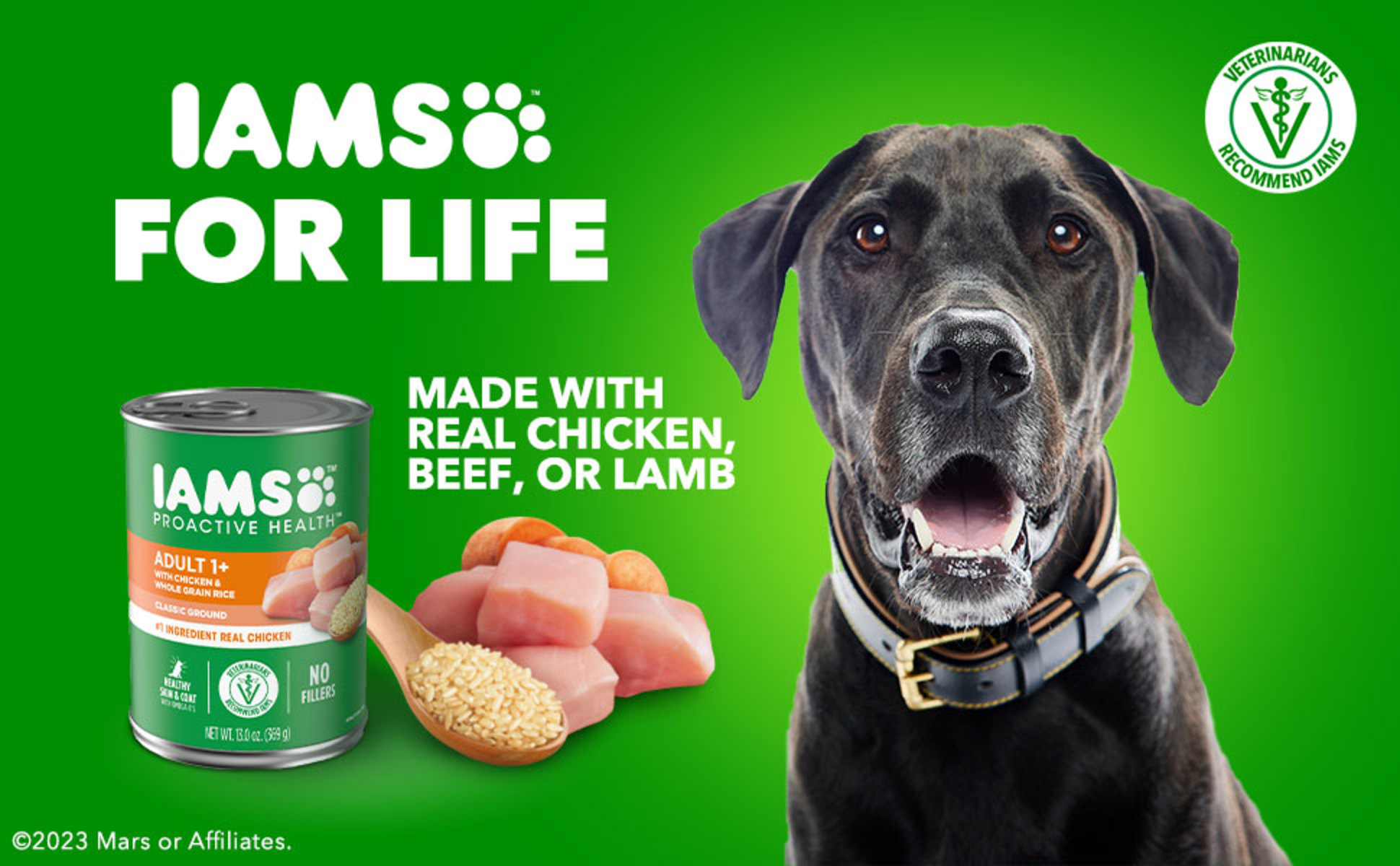 Iams Proactive Health Pate Lamb And Rice Wet Dog Food 13 Oz Cans