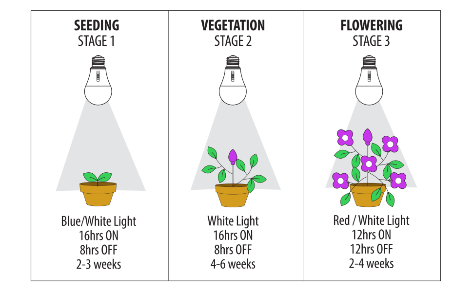 Feit Electric 9 Watt A19 Selectable Spectrum for Seeding Growing