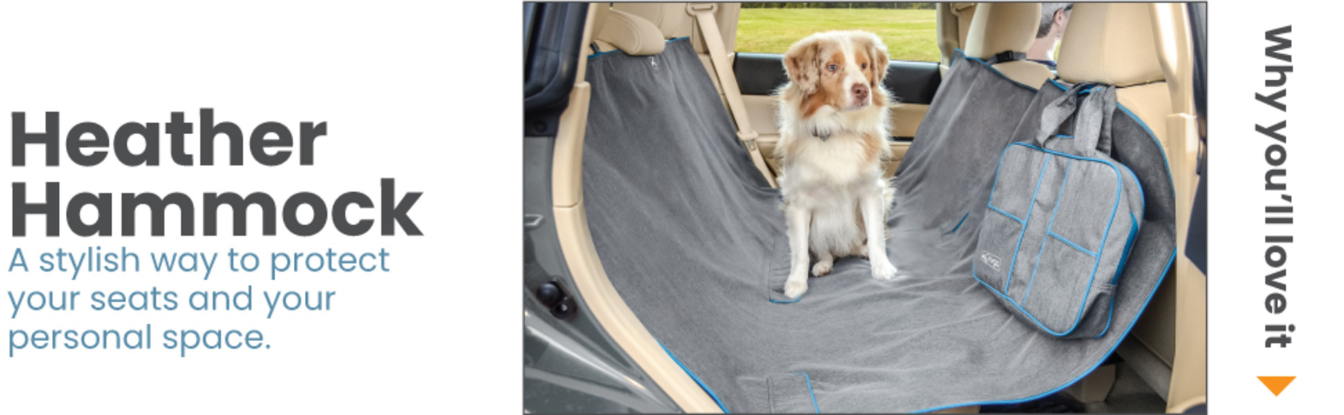 Dog car hammock petco best sale