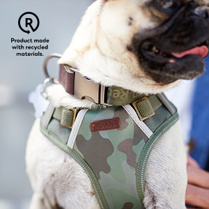 Reddy Black Jacquard Dog Leash Accesory Petco