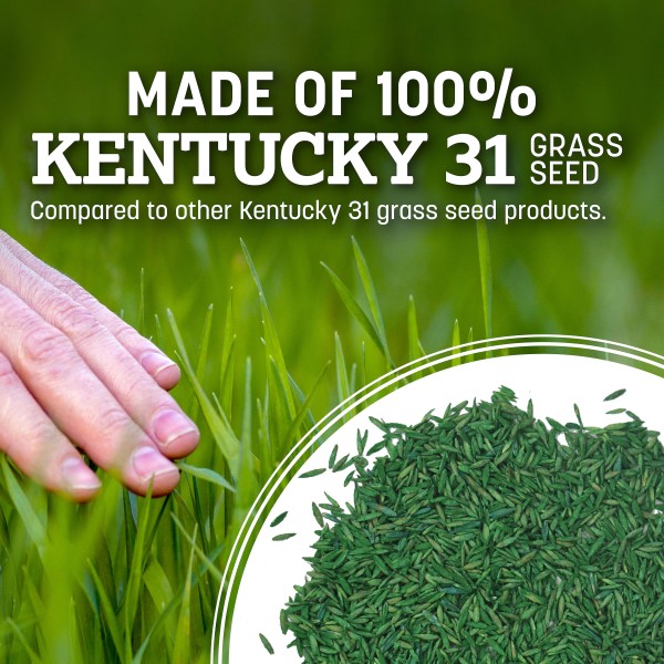 Kentucky Bluegrass Northern Grass Seed Mix – Sun To Partial Shade, Easy Grow, USA Made