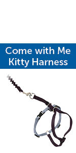 Come With Me Kitty™ Cat Harness & Bungee Leash