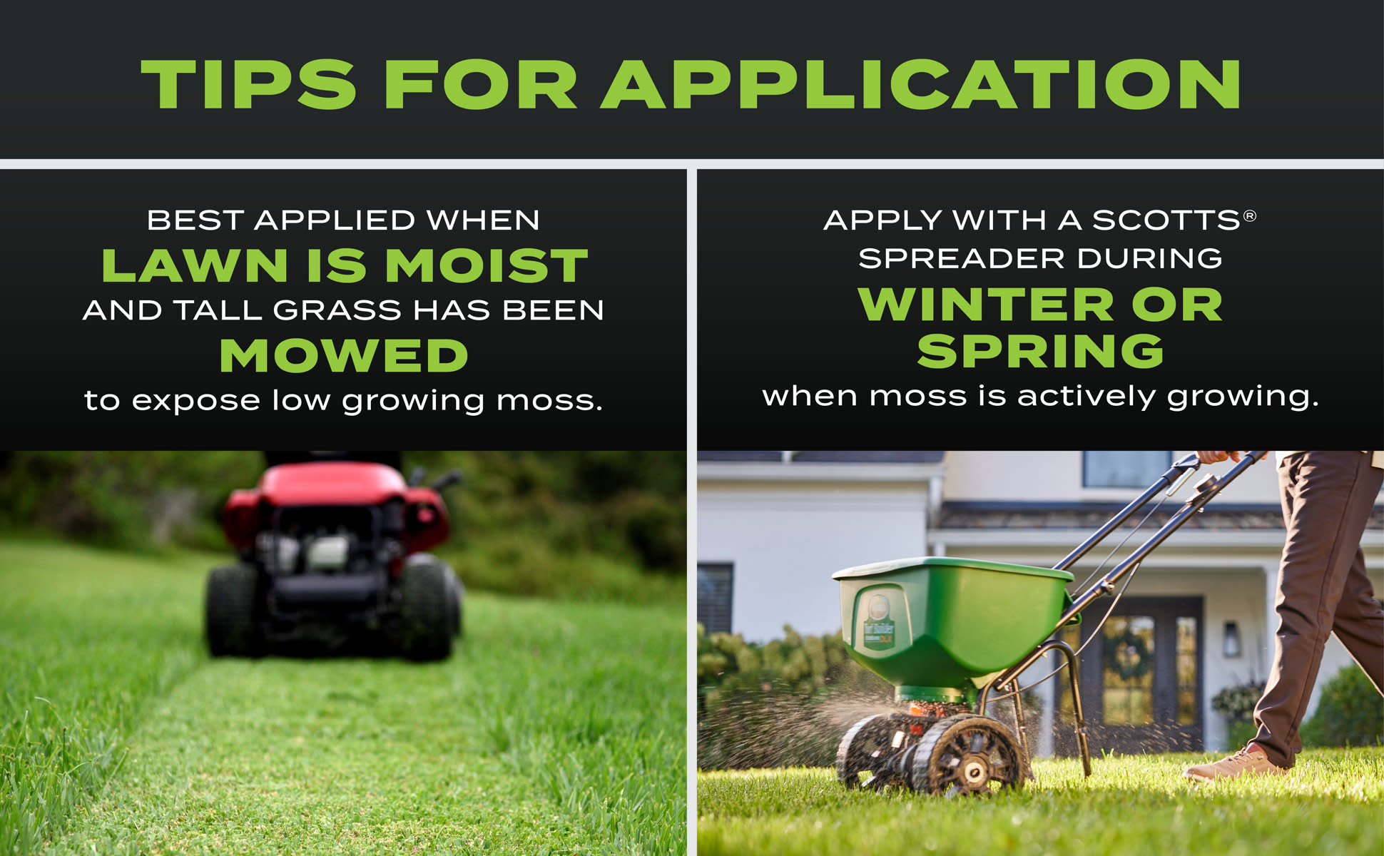 Scotts Turf Builder Triple Action For Moss Control, 20 lbs. Moss