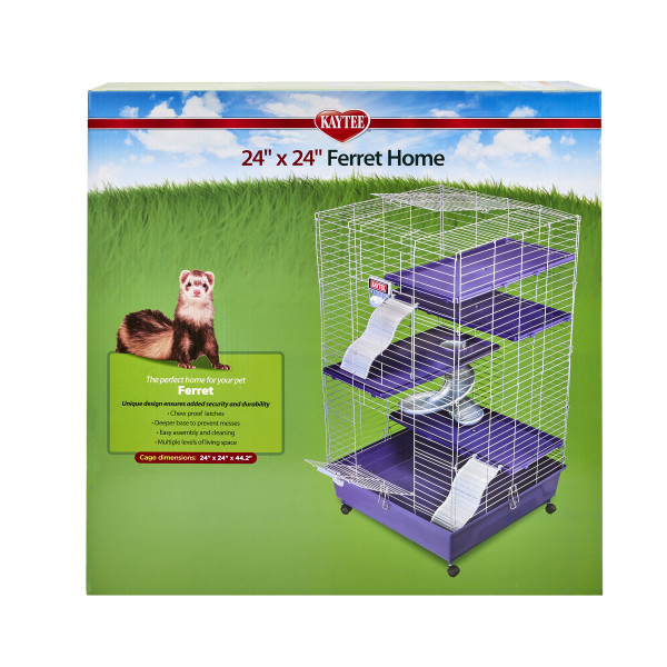 Guinea pig store starter kit walmart