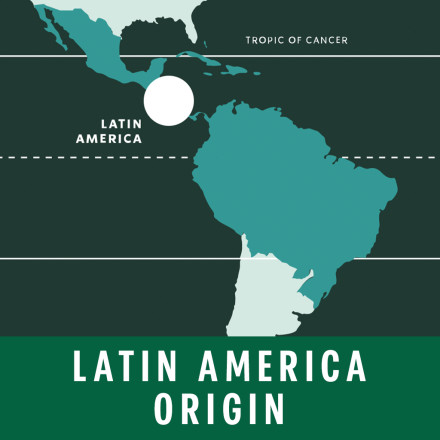 Latin America Origin