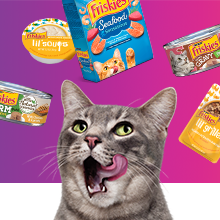 Cat licking its lips, surrounded a variety of Friskies cat food treats and complements