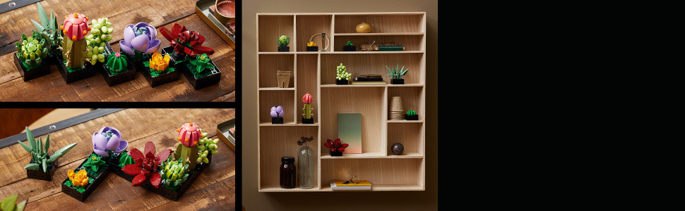 Customize your display by connecting the 9 plants together, arranging them in small groups or presenting them individually.