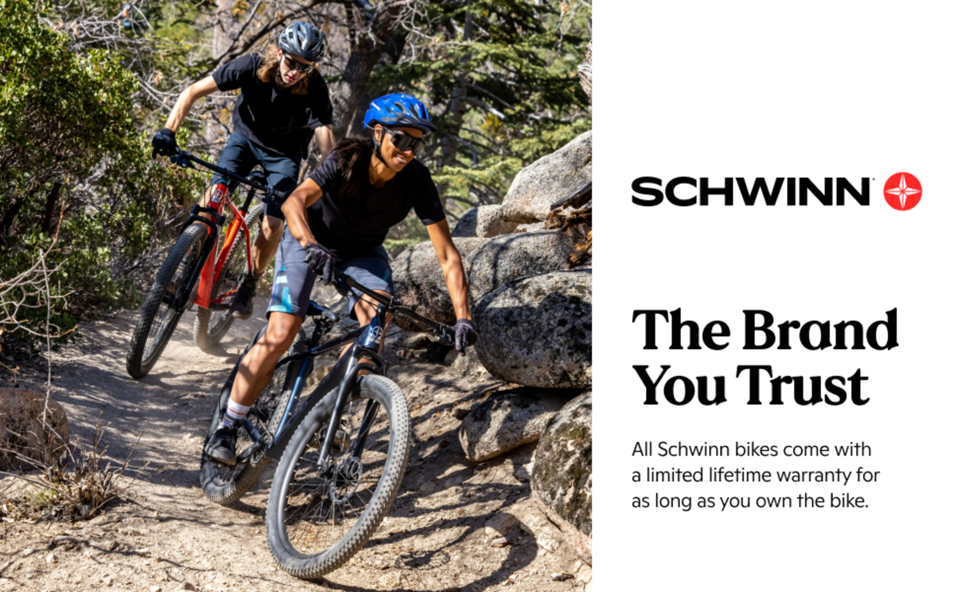 Schwinn axum online dp