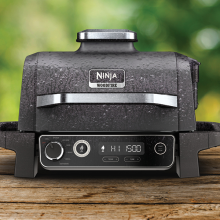Ninja Woodfire 3-in-1 Outdoor Grill, Master Grill, BBQ Smoker, & Outdoor  Air Fryer with Woodfire Technology, OG700 