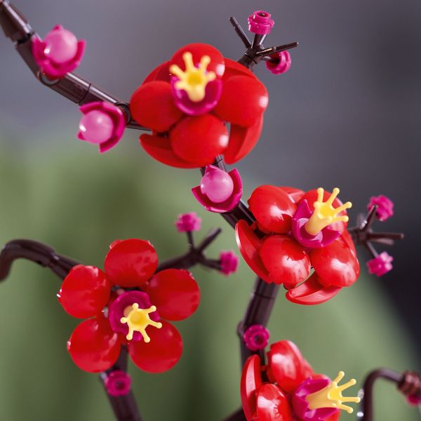 Vivid red flowers captured in bud, blooming and full bloom.