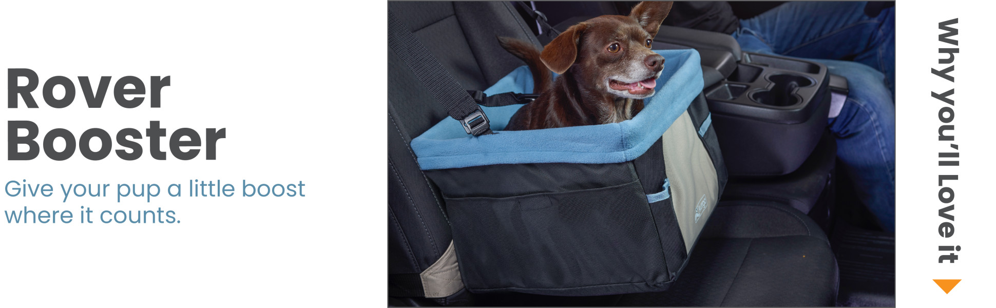 Kurgo Rover Booster Seat for Dogs 16 L X 12 W X 8 H Petco