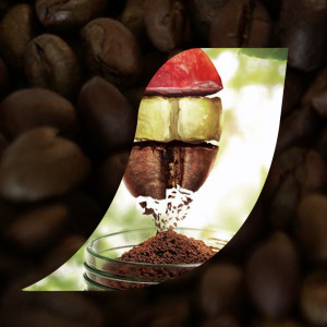 Nescafe® Clasico™ Origin Colombia Coffee Jar, 6 oz - Fred Meyer
