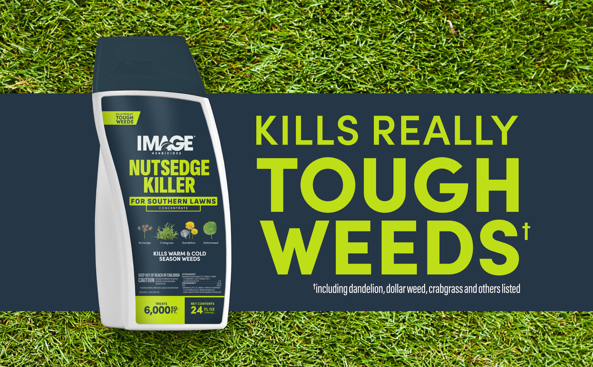 IMAGE 24 oz. 6,000 sq. ft. Nutsedge Liquid Weed Killer Concentrate for  Lawns and Landscaping 100551409 - The Home Depot