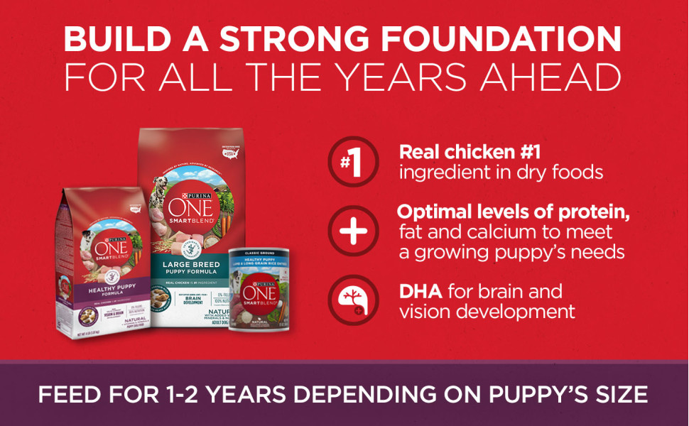 Purina ONE Natural, High Protein Dry Puppy Food, +Plus Healthy Puppy Formula