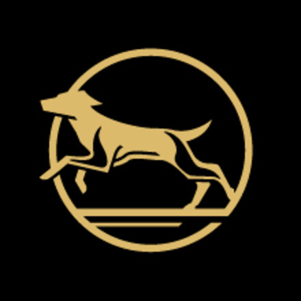 lean dog running icon