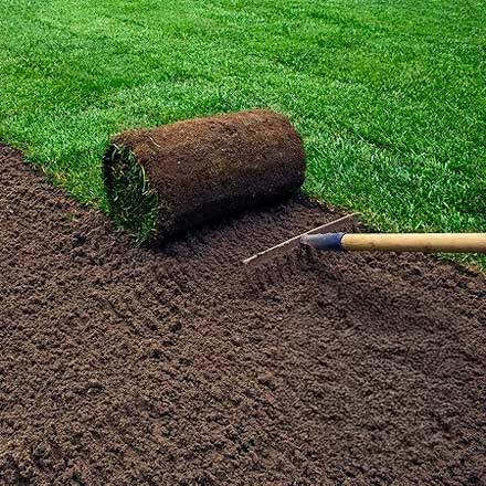 Top soil for lawn tasks